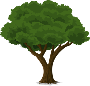 Tree.png